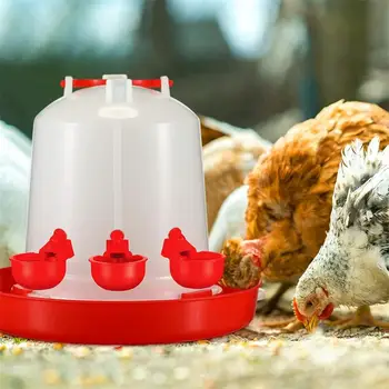 Большая автоматическая чашка для куриного напитка, набор для куриного напитка, миска для домашней птицы